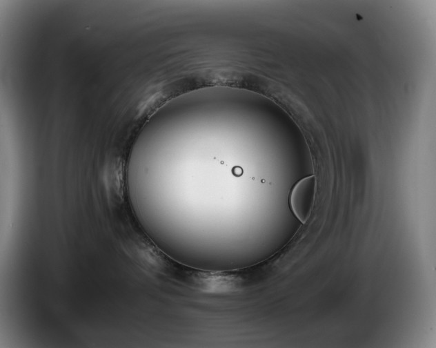 X0000085210336200703091144