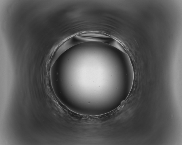 X0000085210337200703091143