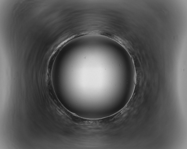 X0000085210338200703091143