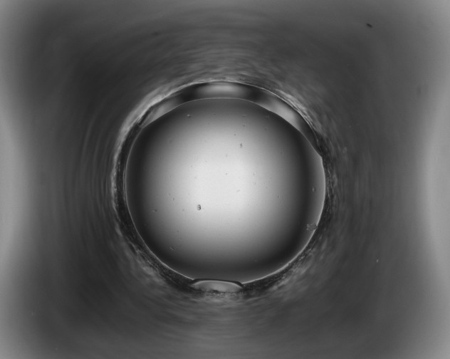 X0000085210340200703091143