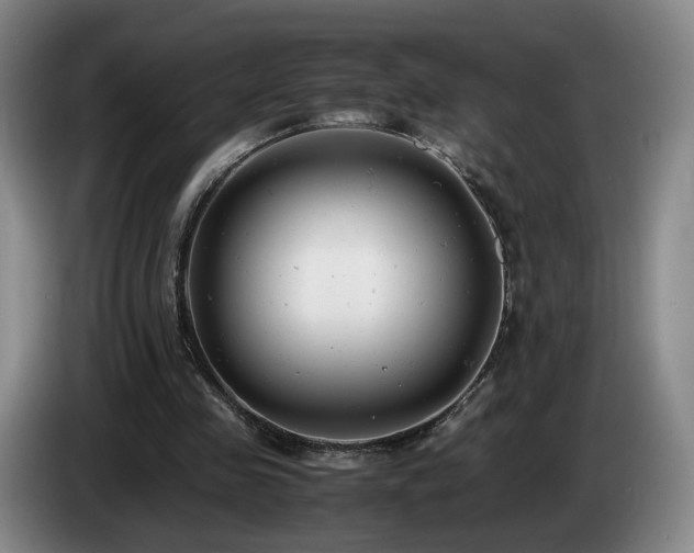 X0000085210341200703091143