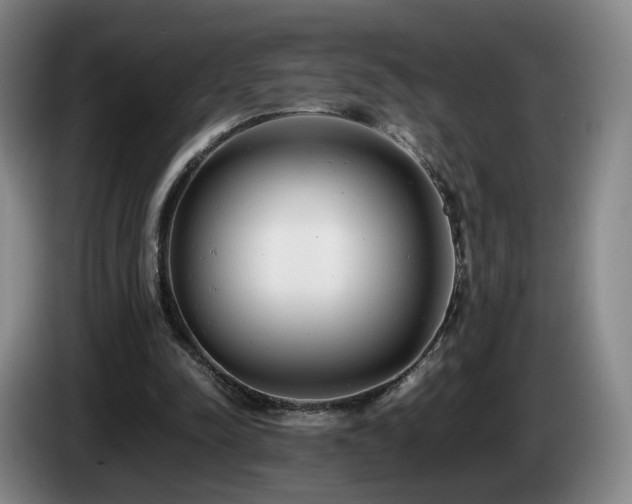 X0000085210342200703091143