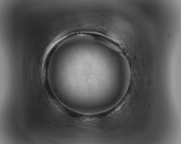 X0000085210343200703091143
