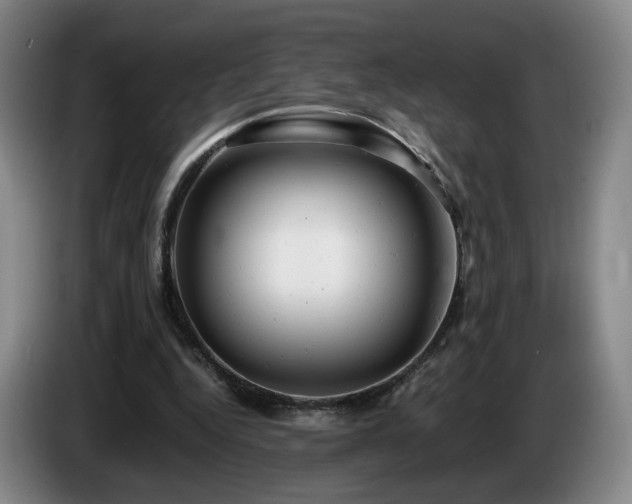 X0000085210344200703091143