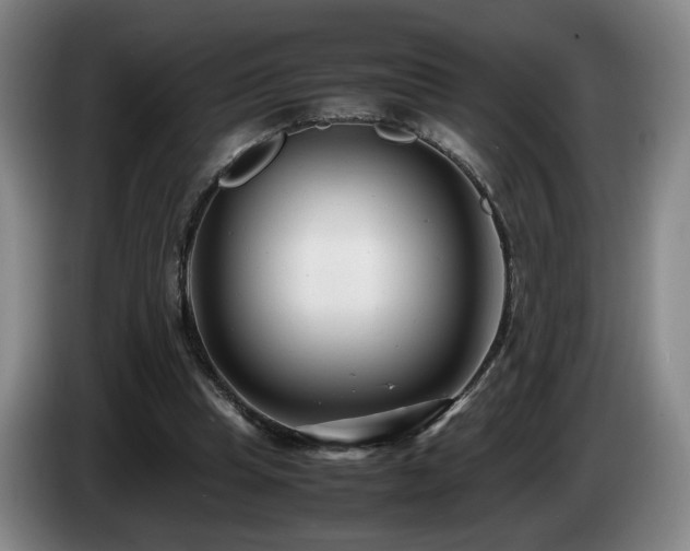 X0000085210345200703091143