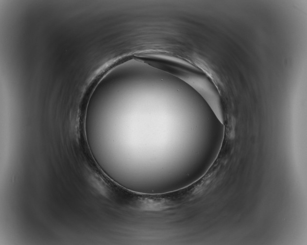 X0000085210346200703091143