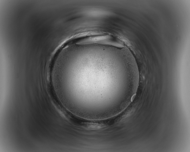 X0000085210347200703091143