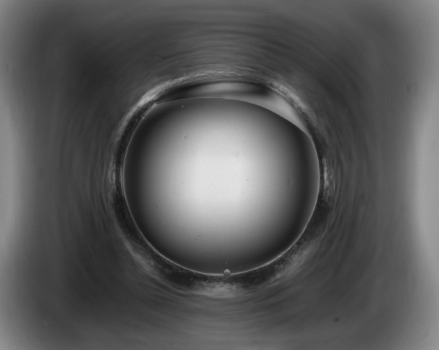 X0000085210348200703091143