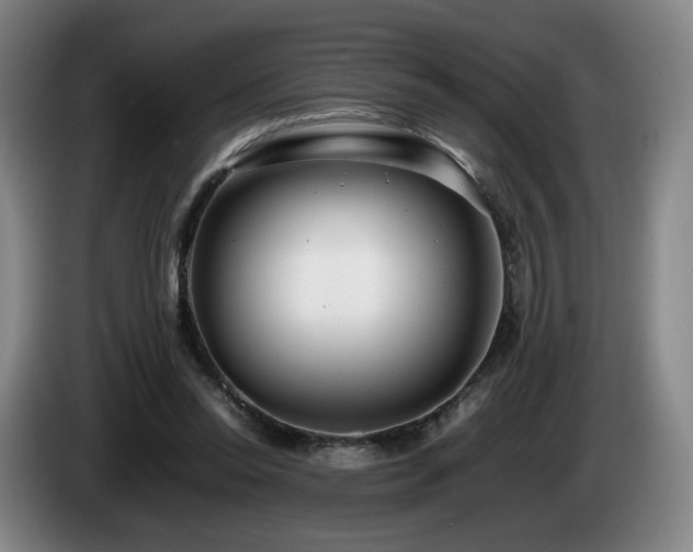 X0000085210350200703091143