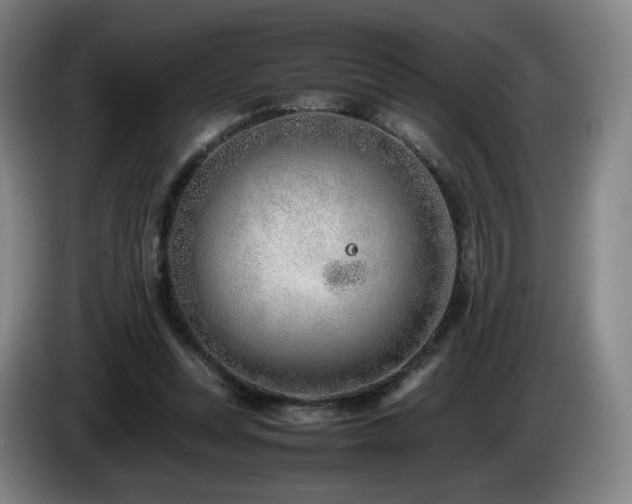 X0000085210351200703091143