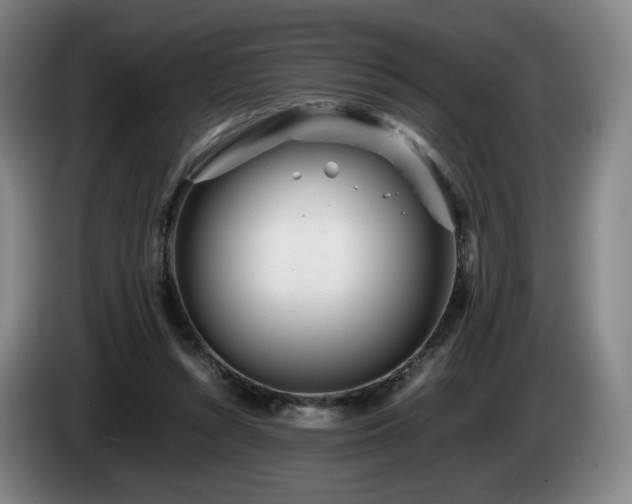 X0000085210352200703091143
