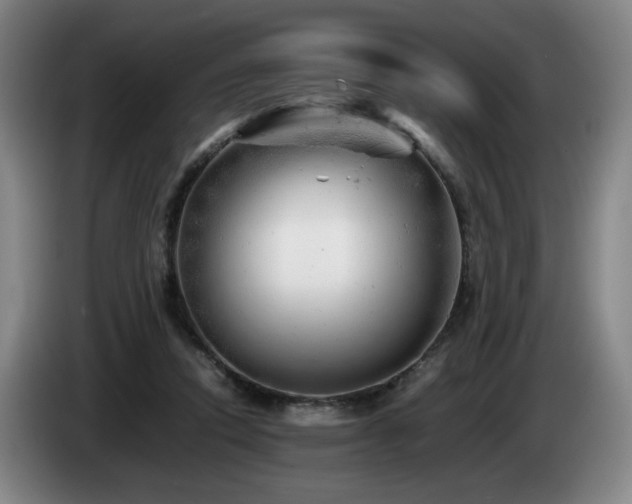 X0000085210354200703091143