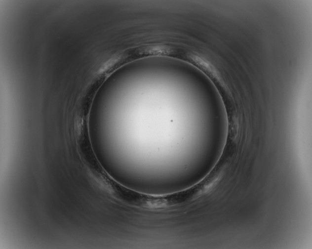 X0000085210355200703091143