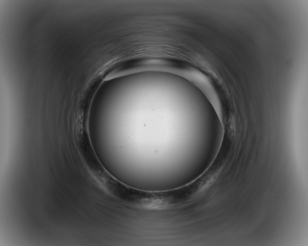 X0000085210356200703091143