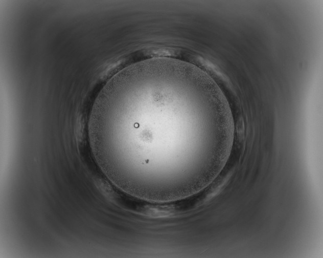 X0000085210359200703091144