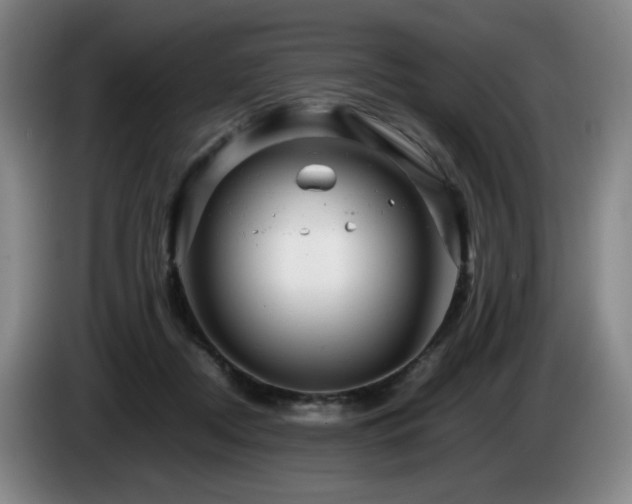 X0000085210362200703091144