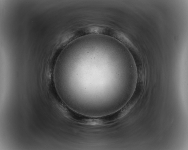 X0000085210363200703091144