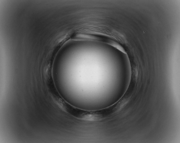 X0000085210364200703091144
