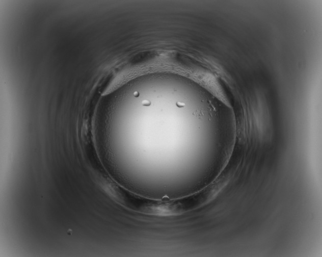 X0000085210365200703091144