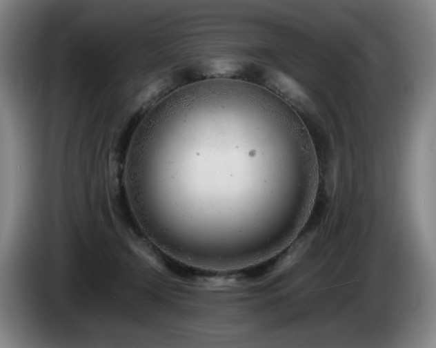 X0000085210366200703091144