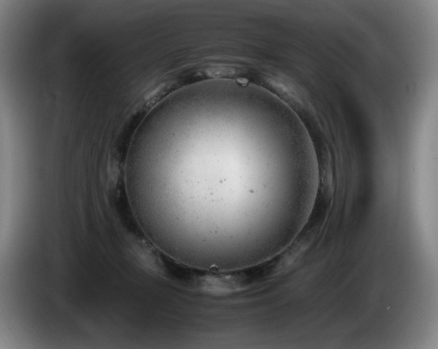 X0000085210367200703091144