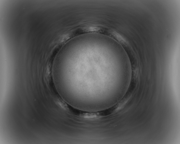X0000085210373200703091144