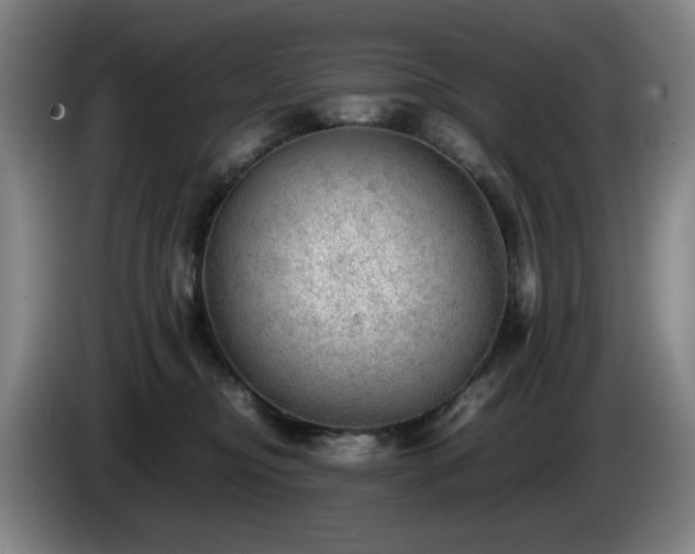 X0000085210374200703091144