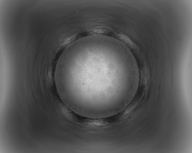 X0000085210377200703091144