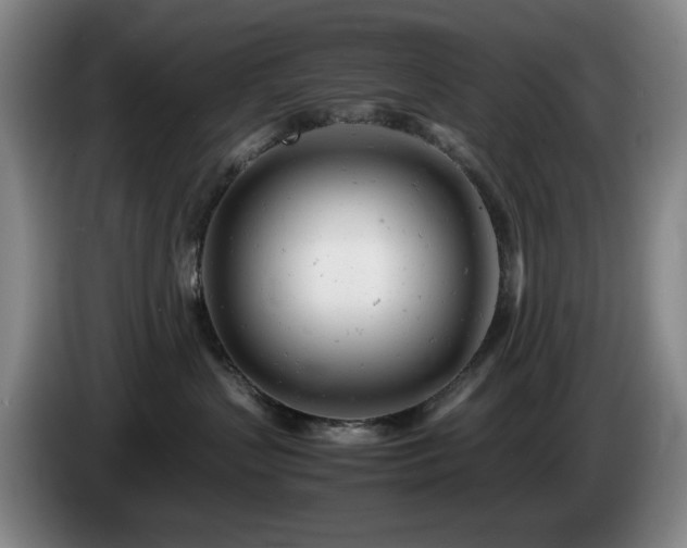 X0000085210383200703091144