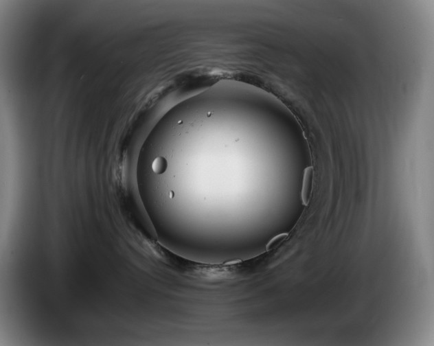 X0000085210384200703091144