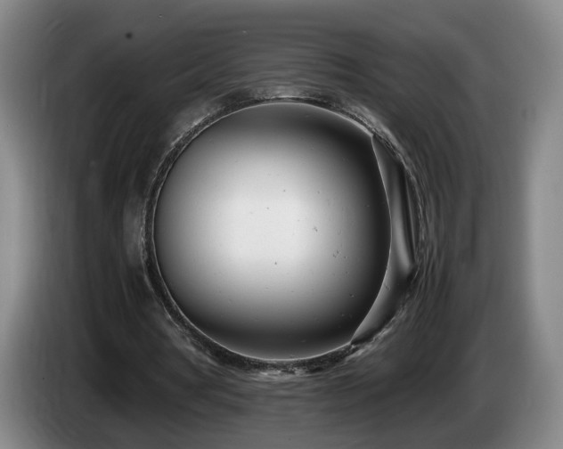 X0000085210386200703091143