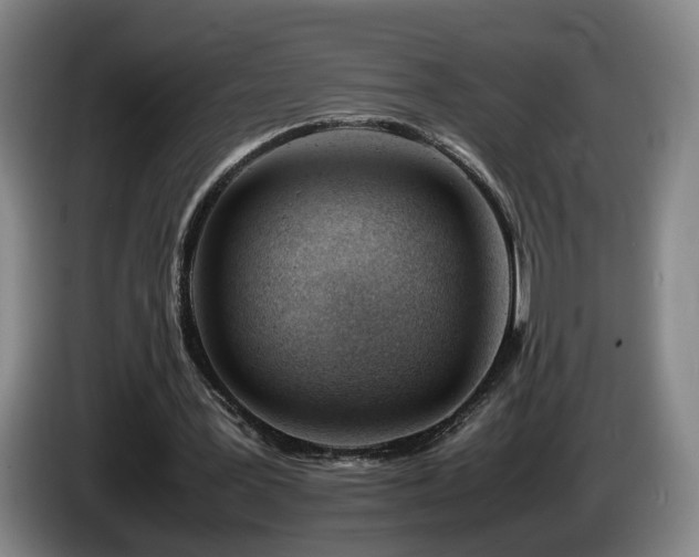 X0000085210387200703091143