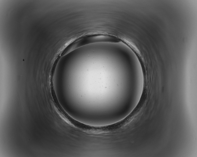 X0000085210389200703091143
