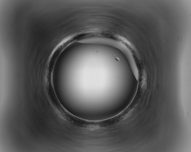 X0000085210392200703091143