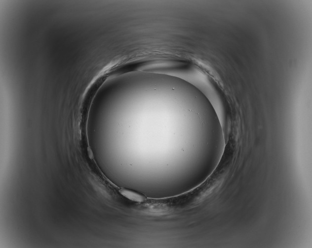 X0000085210395200703091143