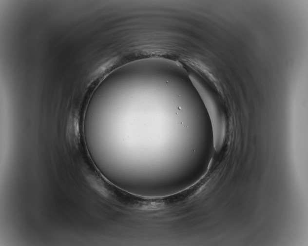 X0000085210398200703091143