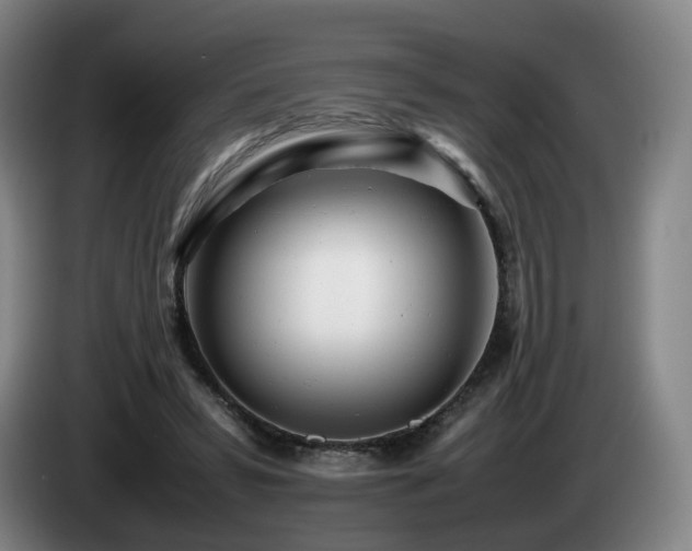 X0000085210399200703091143