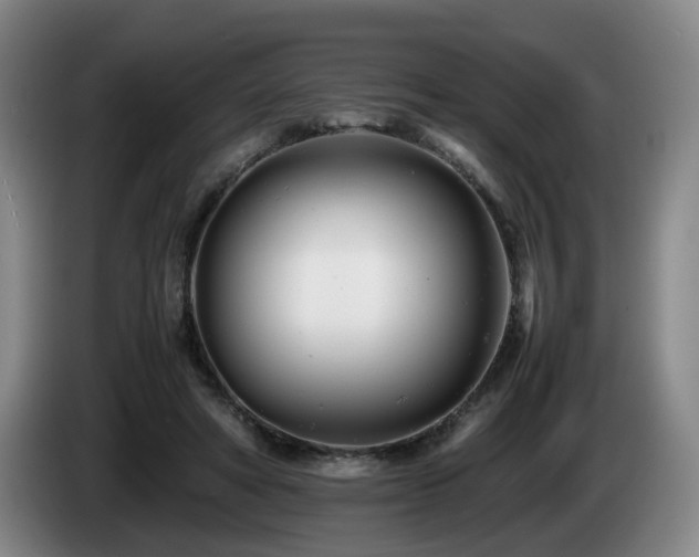X0000085210402200703091143