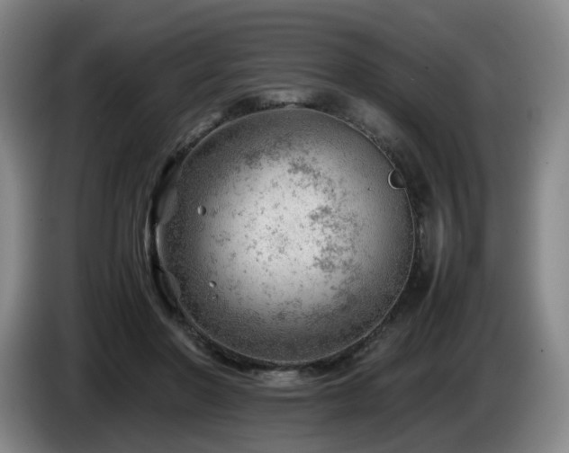 X0000085210406200703091143