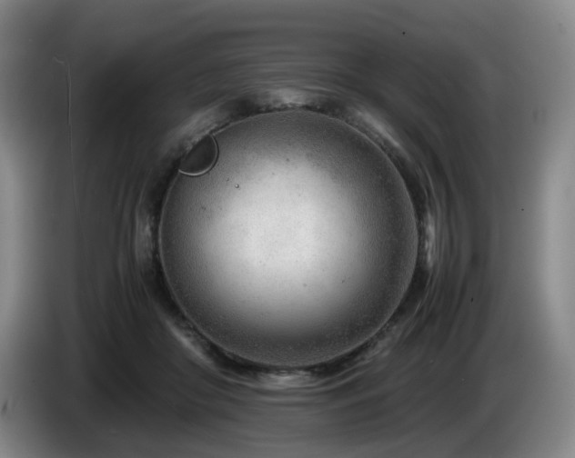 X0000085210410200703091143
