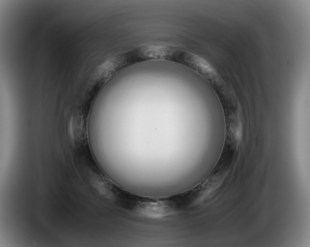 X0000085210411200703091143