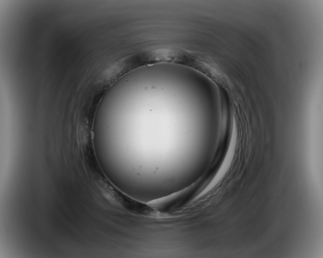 X0000085210413200703091143
