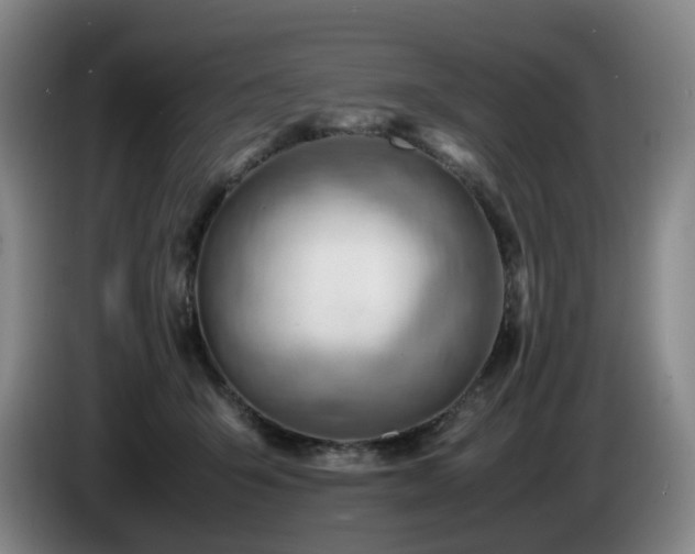 X0000085210415200703091143