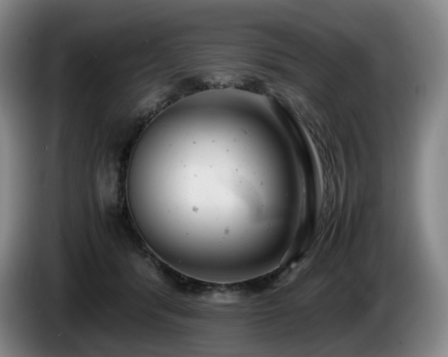 X0000085210416200703091143