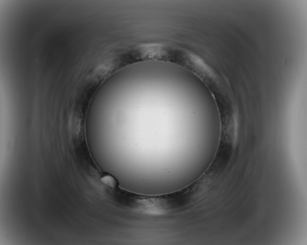 X0000085210417200703091143