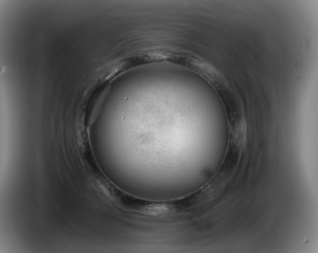 X0000085210418200703091143