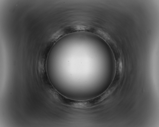 X0000085210422200703091143