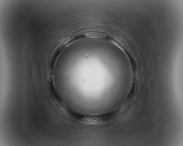 X0000085210423200703091143