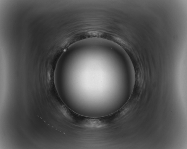 X0000085210424200703091143