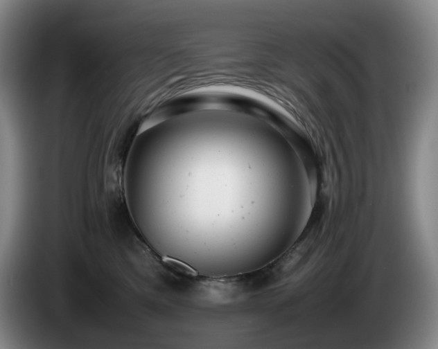 X0000085210425200703091143